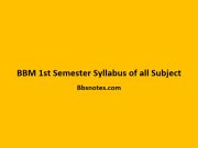 BBM 1st Semester Syllabus of all Subjects BBM 1st Semester Syllabus of all Subject