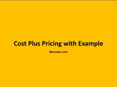 Cost Plus Pricing with Example Cost Plus Pricing with Example