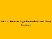 MBS 1st Semester Organizational Behaviour Notes MBS 1st Semester Organizational Behaviour Notes