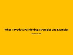 What is Product Positioning: Strategies and Examples What is Product Positioning Strategies and Examples
