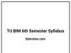 TU BIM 6th Semester Syllabus PDF TU BIM 6th Semester Syllabus PDF